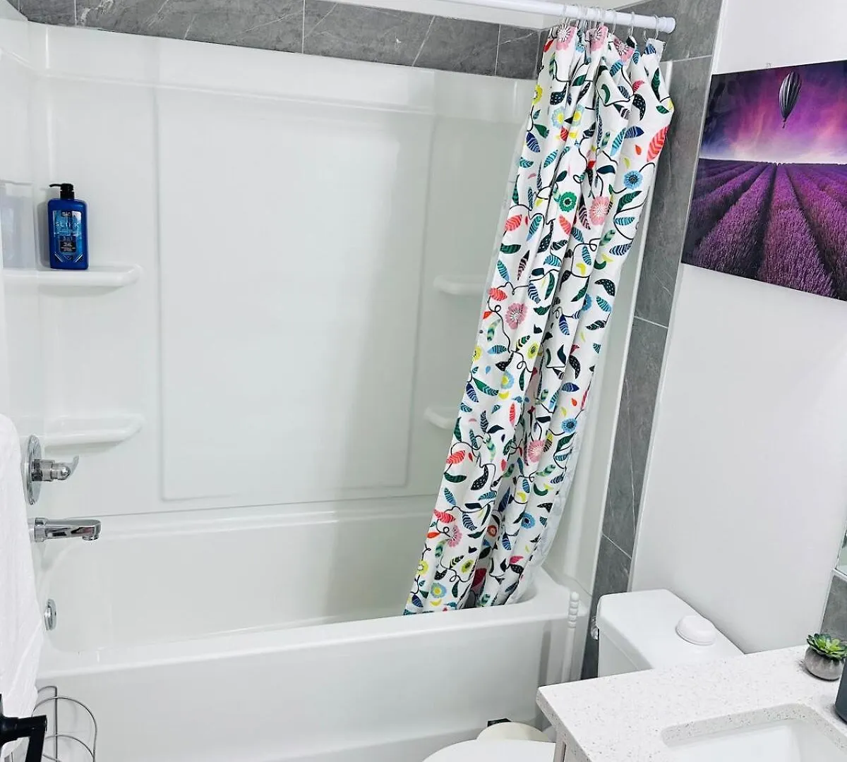 Apartment Beautiful 1 Bedroom Suite Close To Yyc Airport